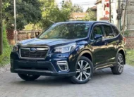 2019 Subaru Forester SK9 X-Break